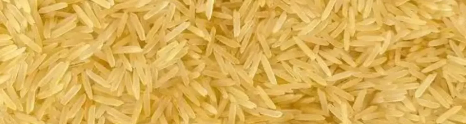 1509 golden sella basmati rice