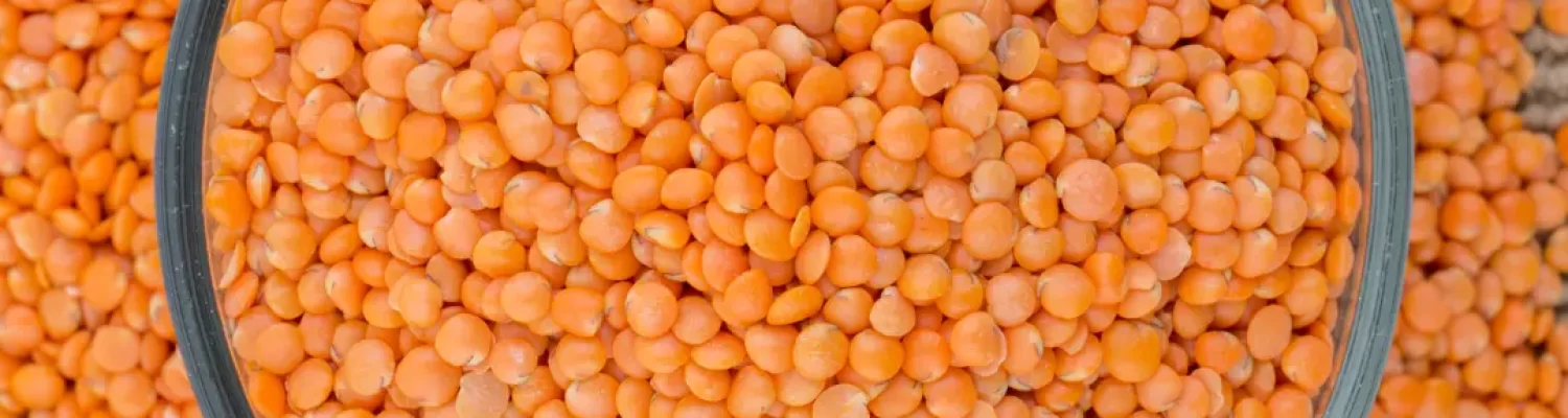 Kashmiri Chilli(Whole)_ (35)