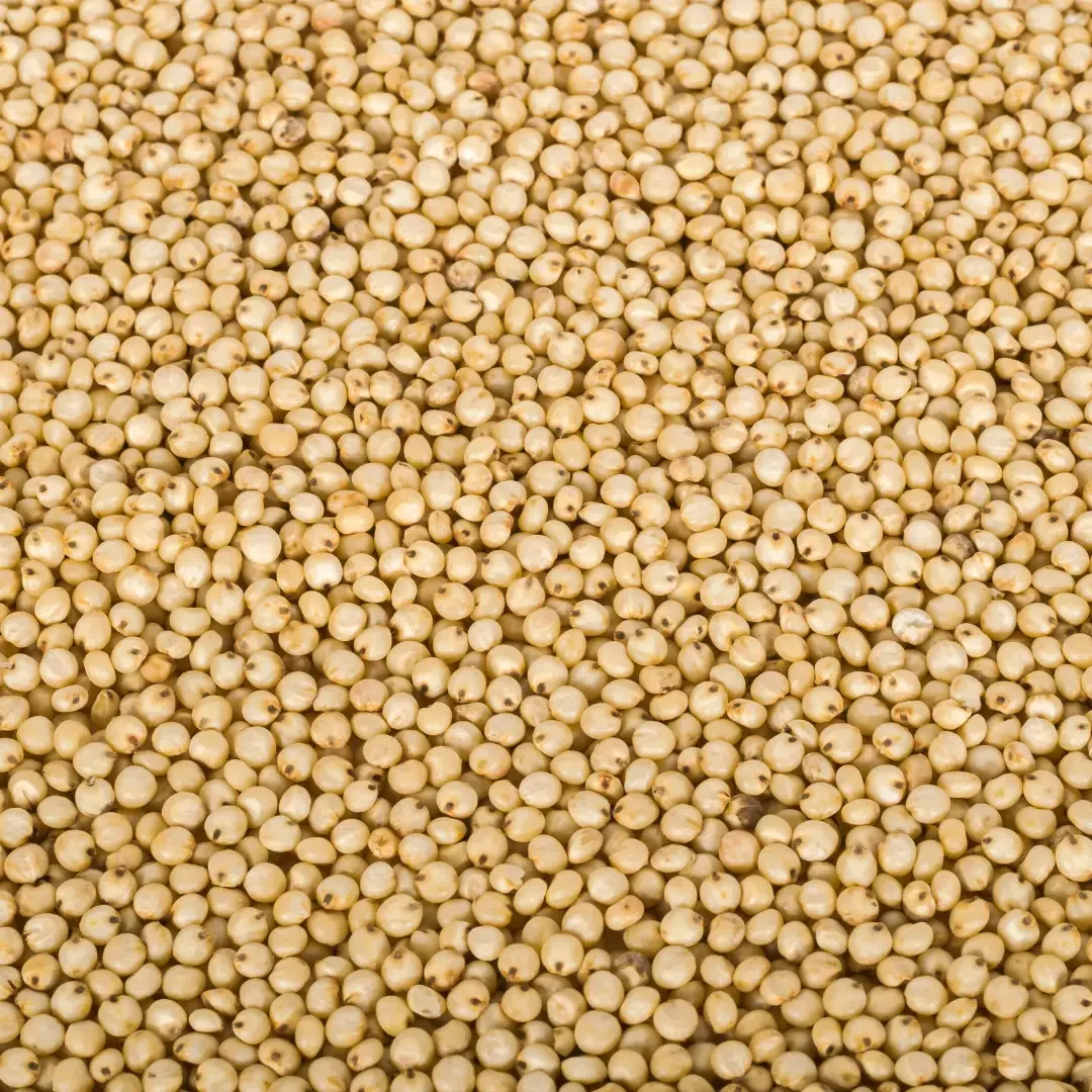 Kodo Millet-01