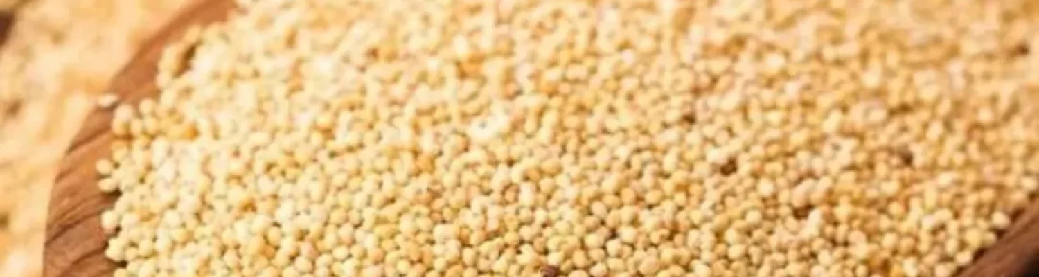 Poppy Seeds(Khas Khas)