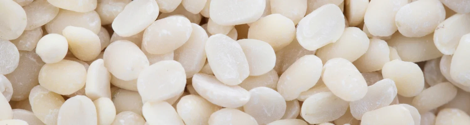 Urad Dal Split(White)