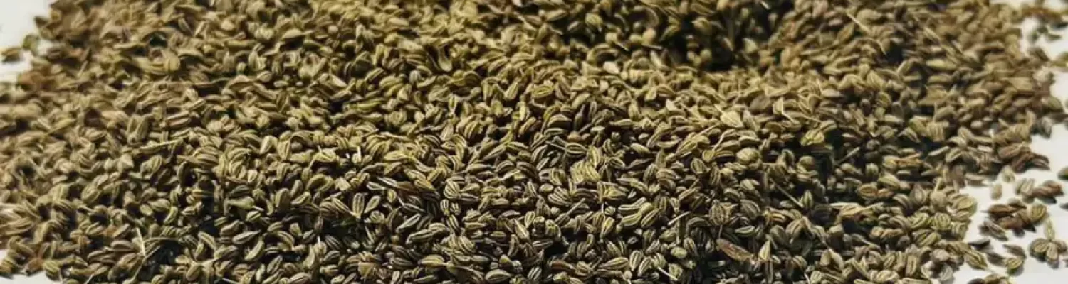 ajwain