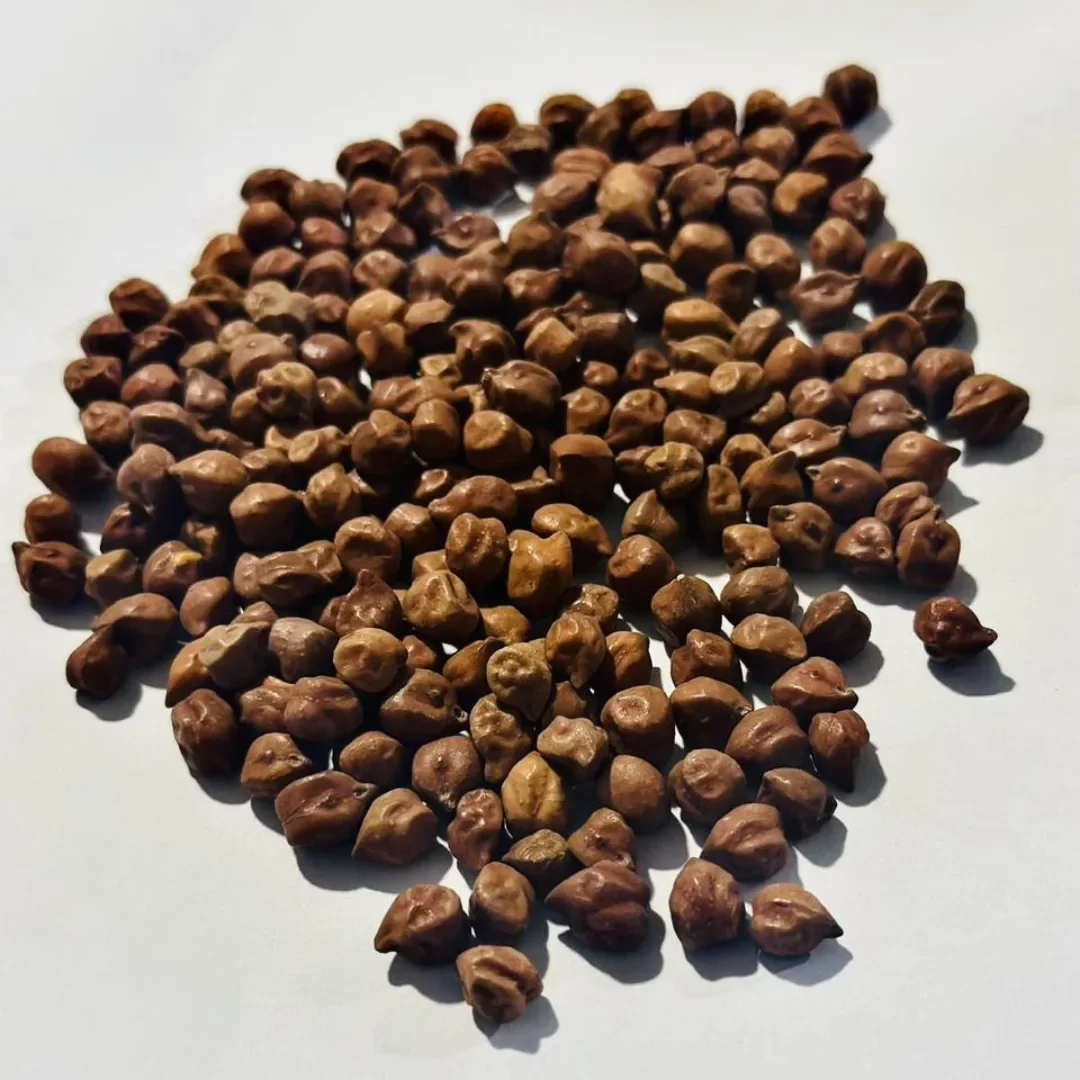 black chana
