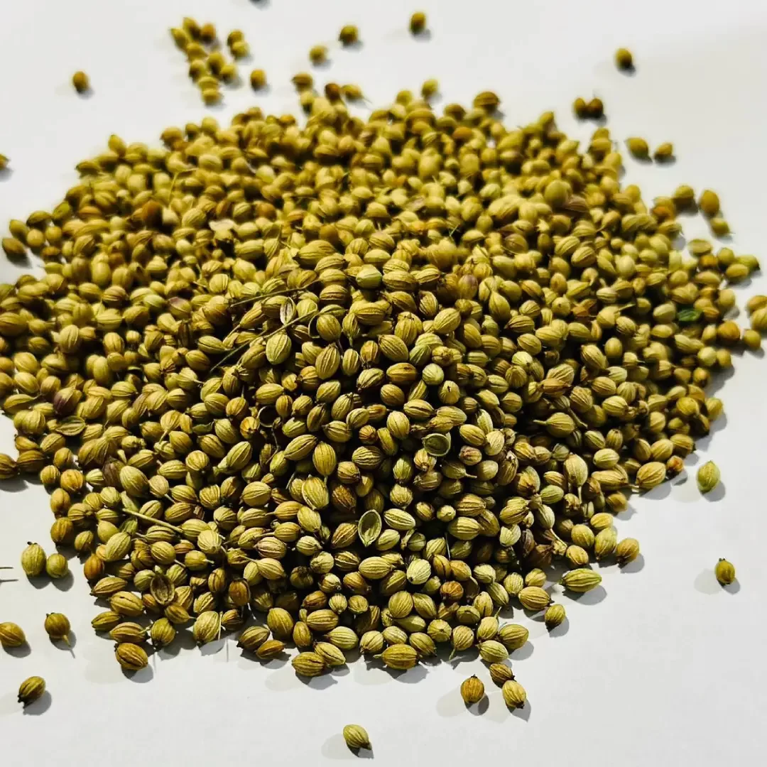 coriander seeds
