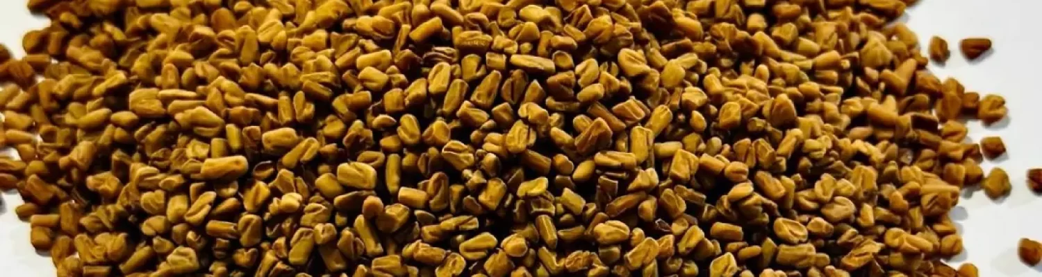 fenugreek seeds