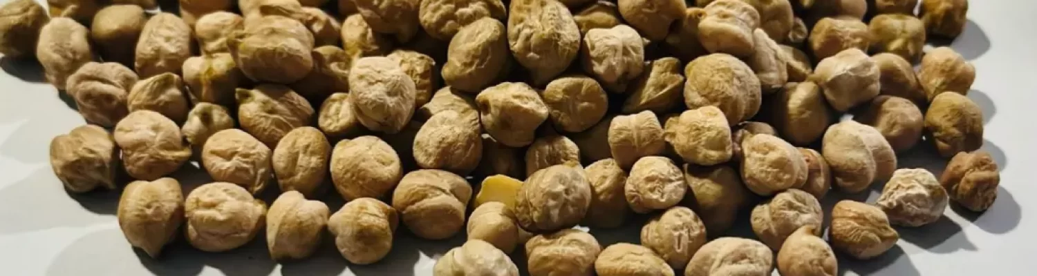 kabuli channa