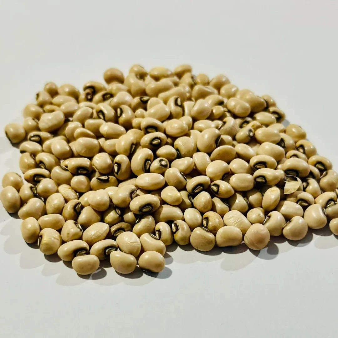 lobia