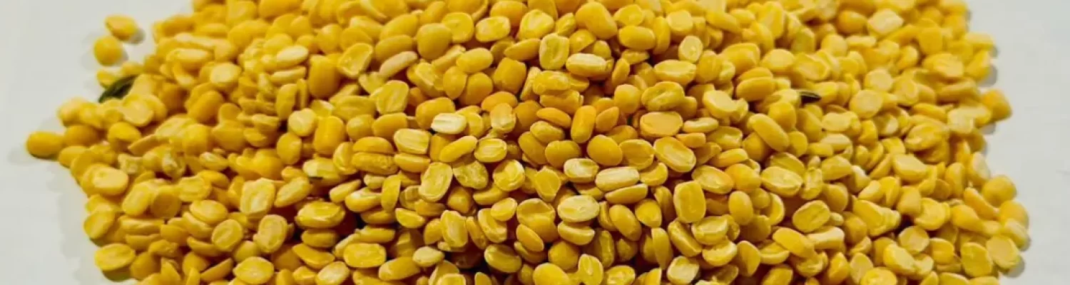 moong daal (split)