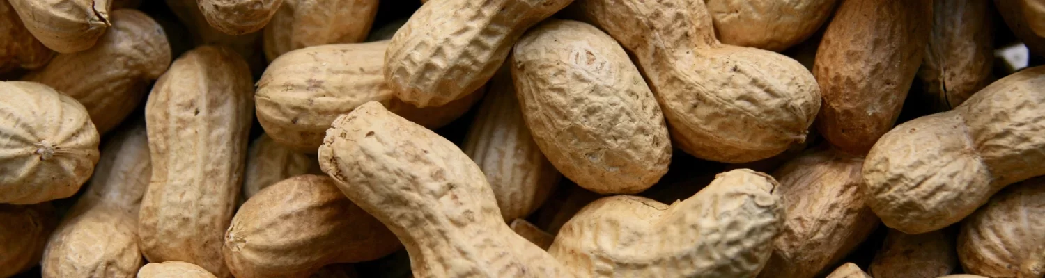 peanut