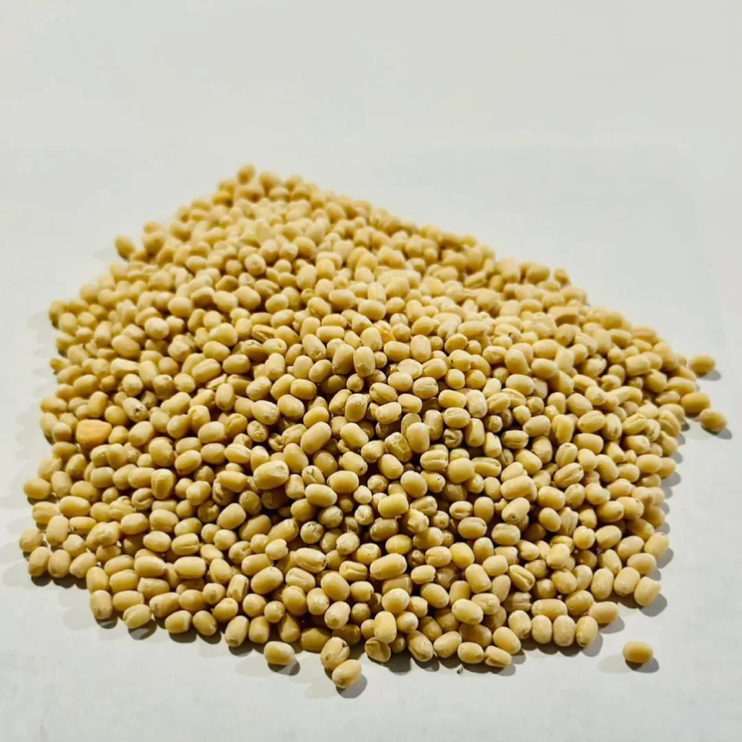 urad dal (gota)